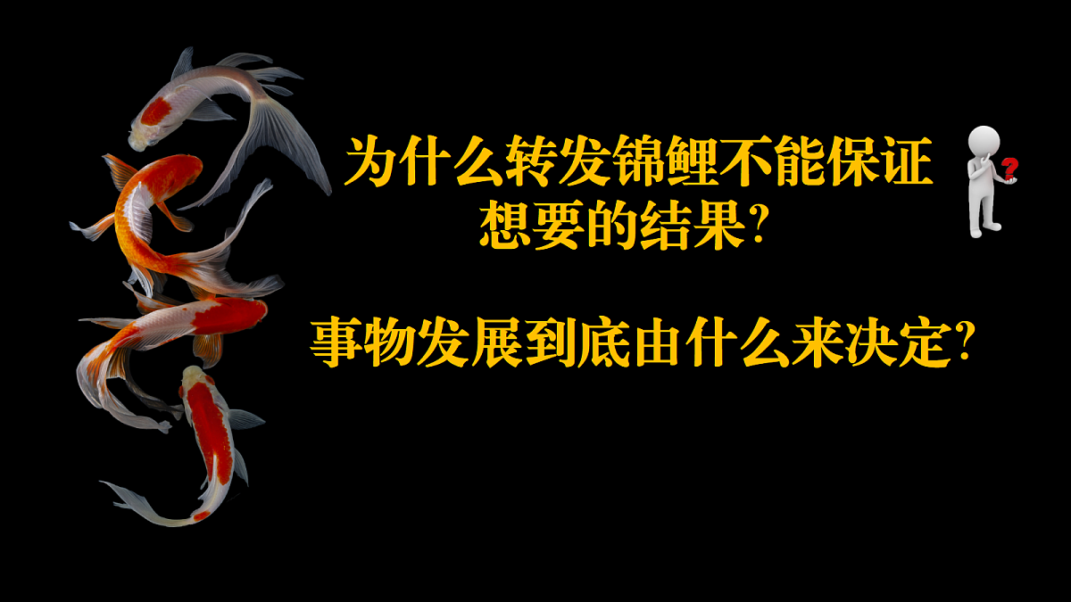 17503526第3页