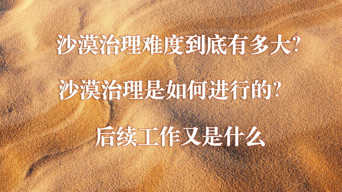 17503530第2页