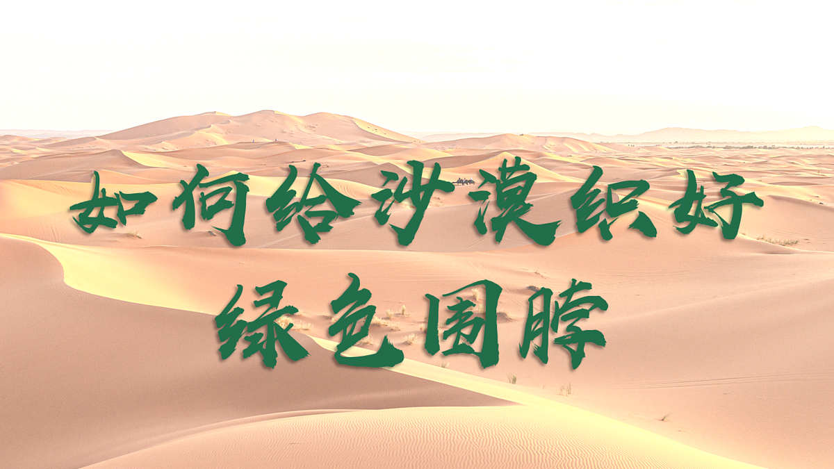 17503530第3页