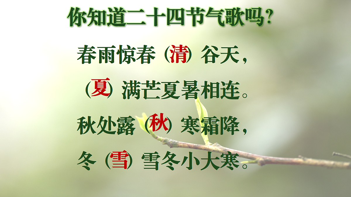 17503532第2页