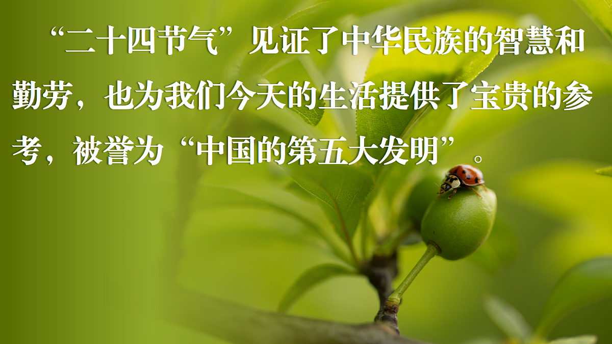 17503532第3页
