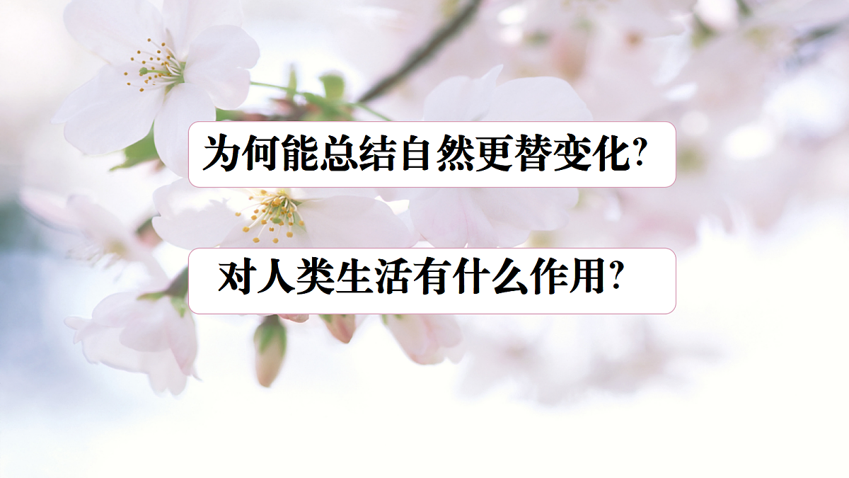 17503532第4页