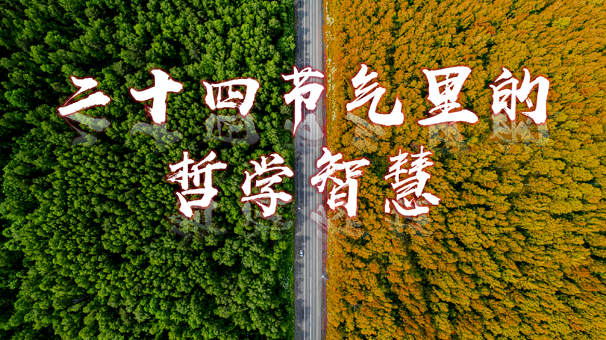 17503532第5页