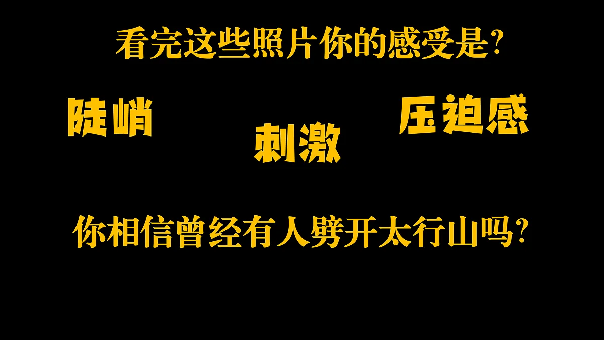 17503533第3页