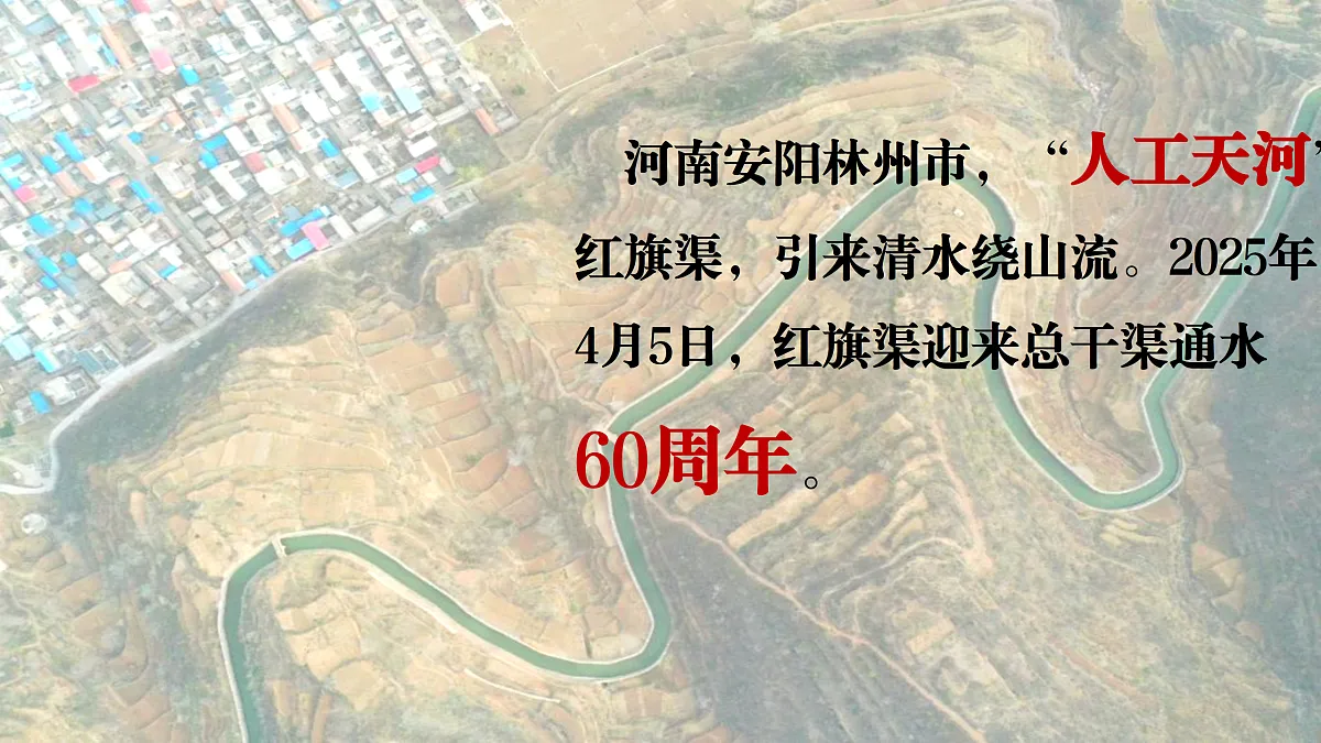 17503533第4页
