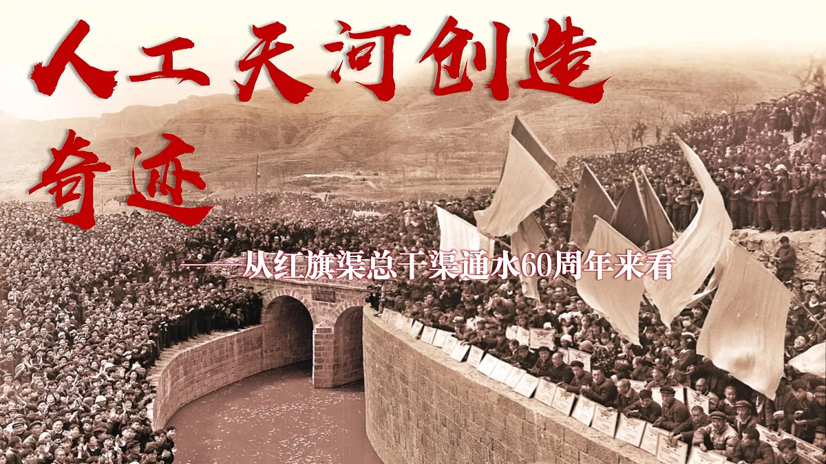 17503533第5页