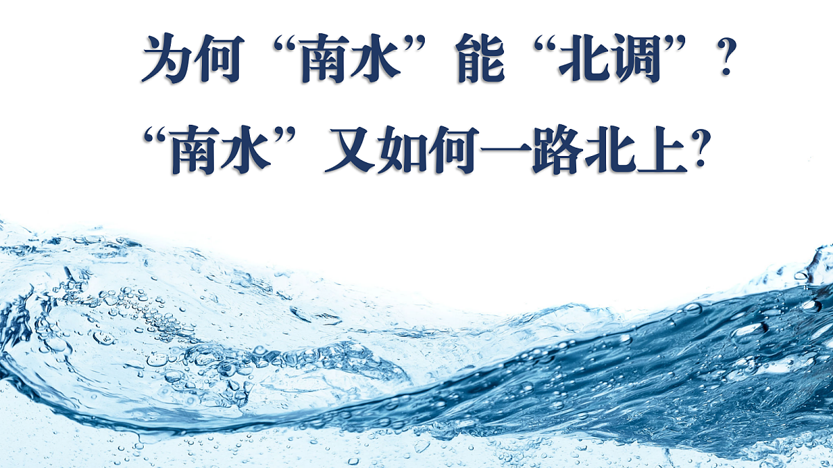 17503536第4页