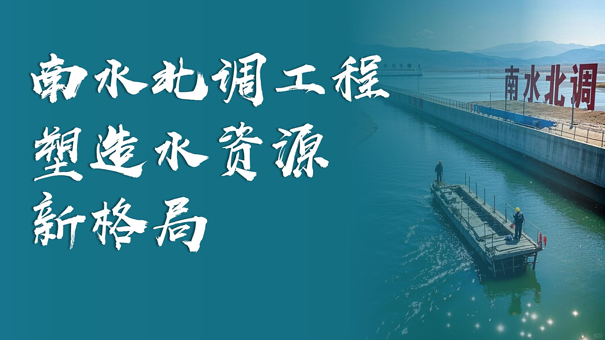 17503536第5页