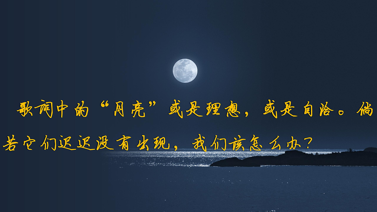 17503541第3页