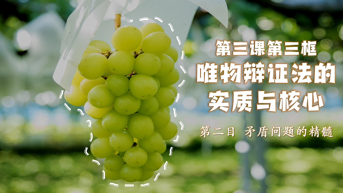 17503543第1页