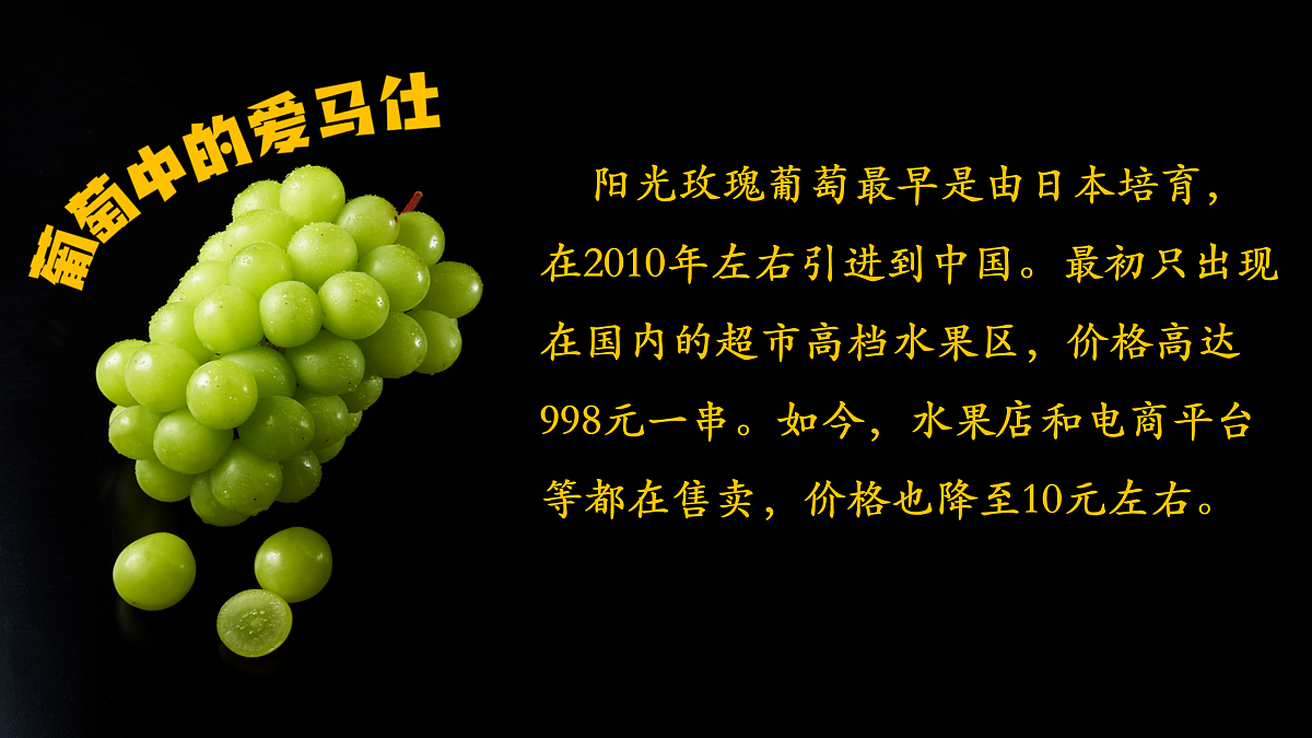 17503543第3页