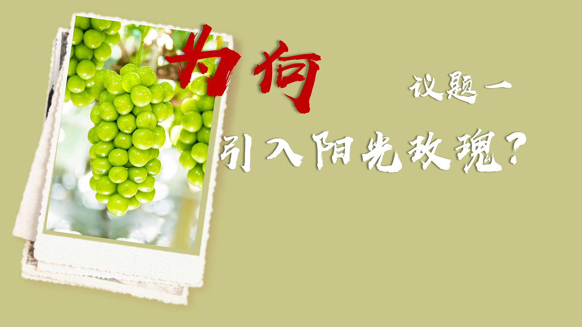 17503543第5页