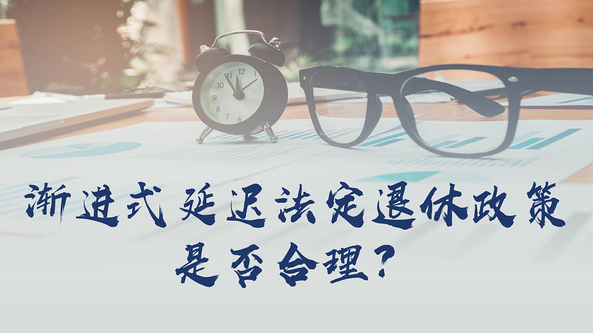 17503551第3页