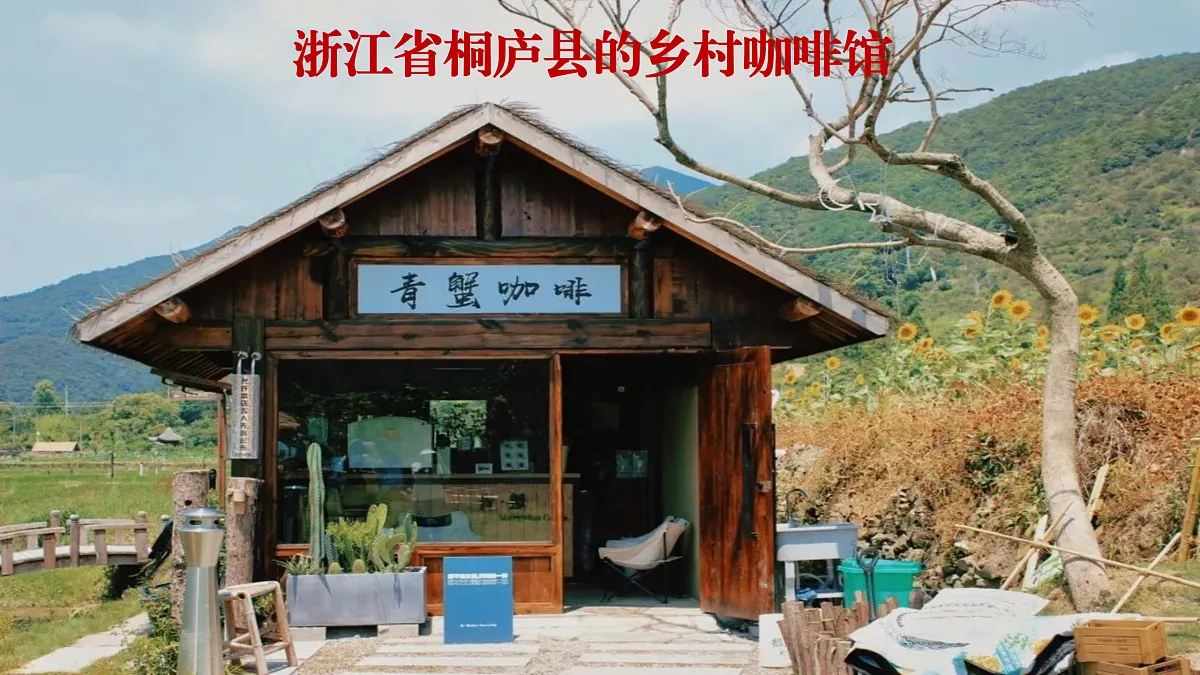 17503553第4页