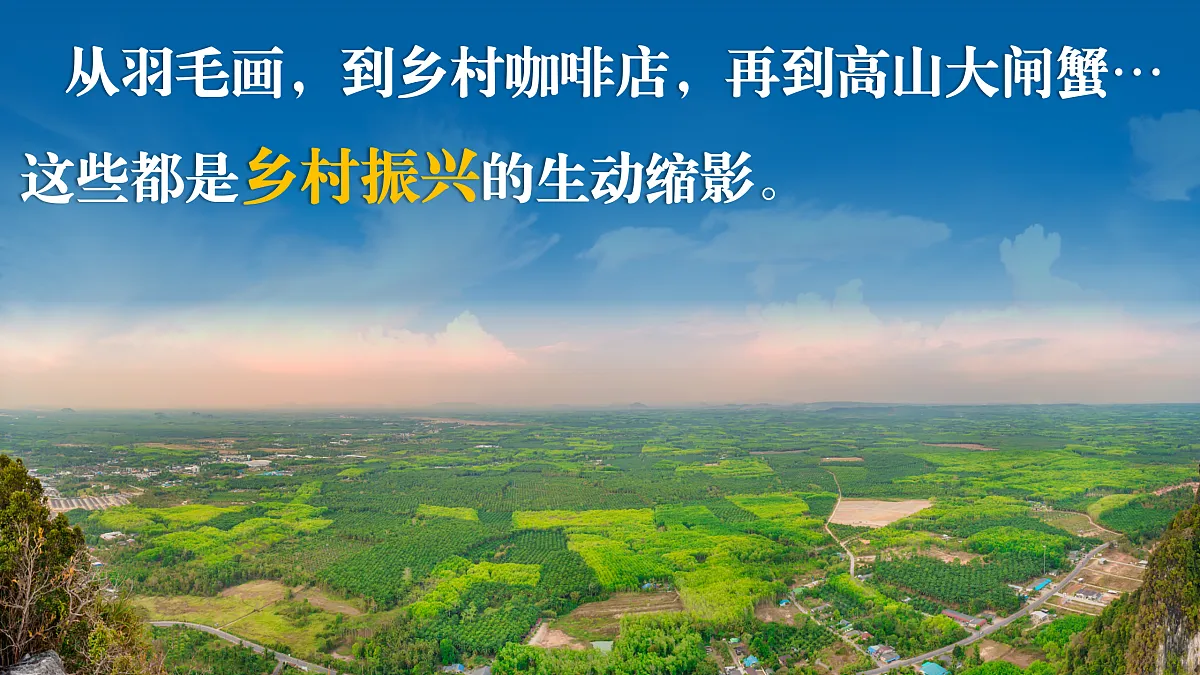 17503553第6页