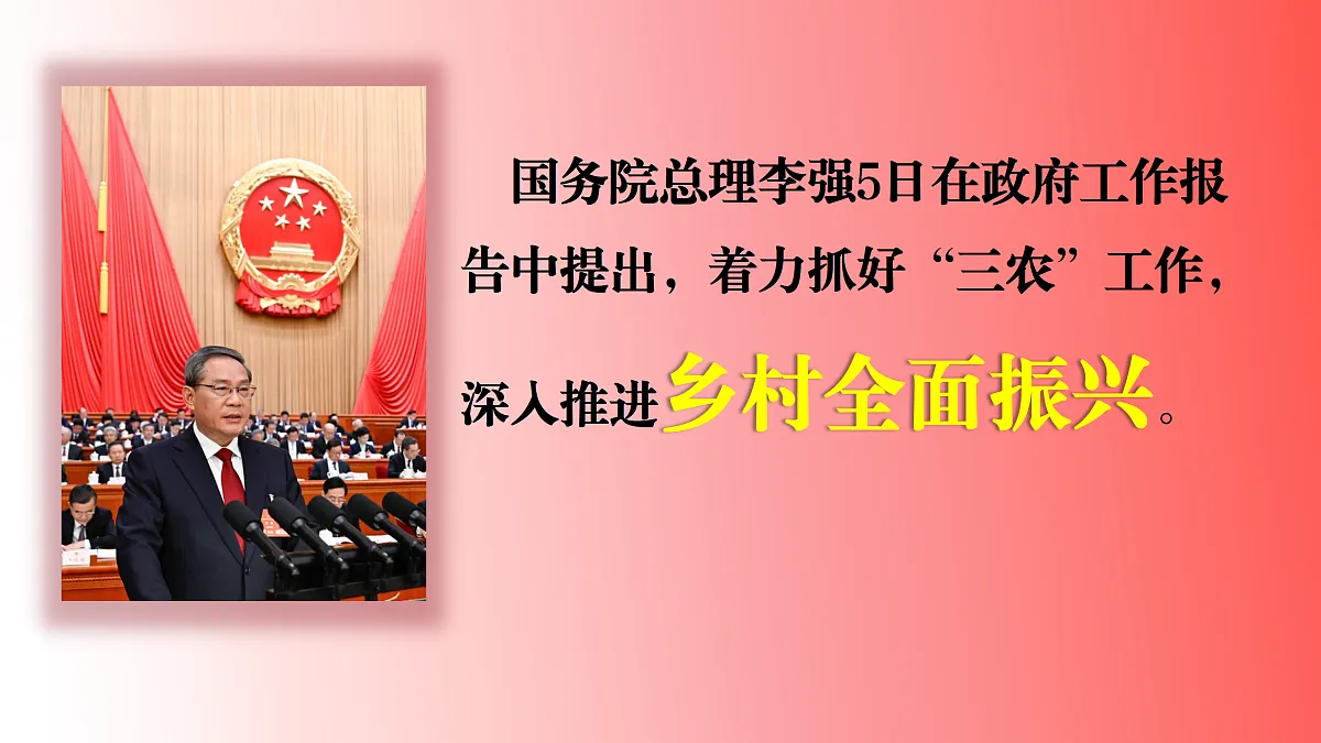 17503553第7页