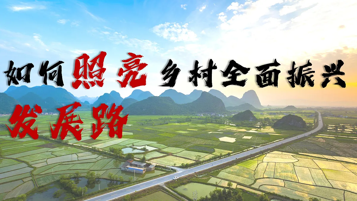 17503553第8页