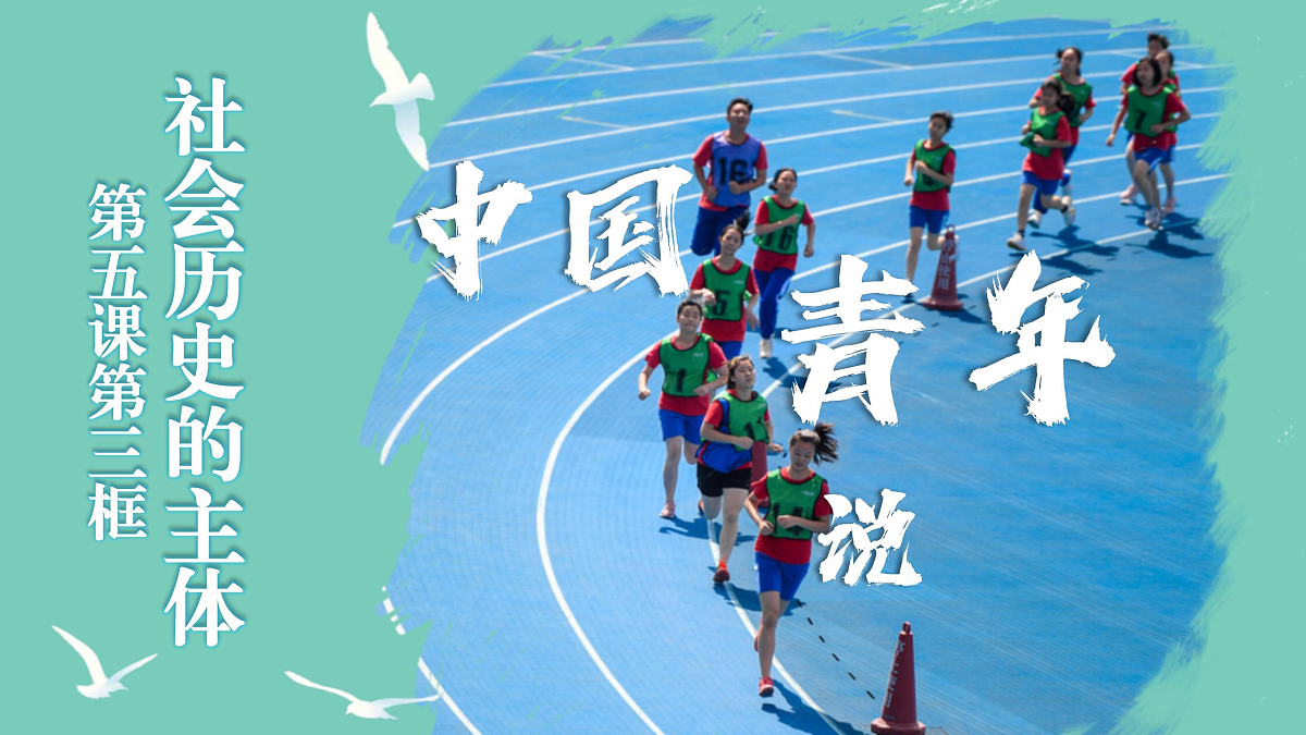 17503555第1页