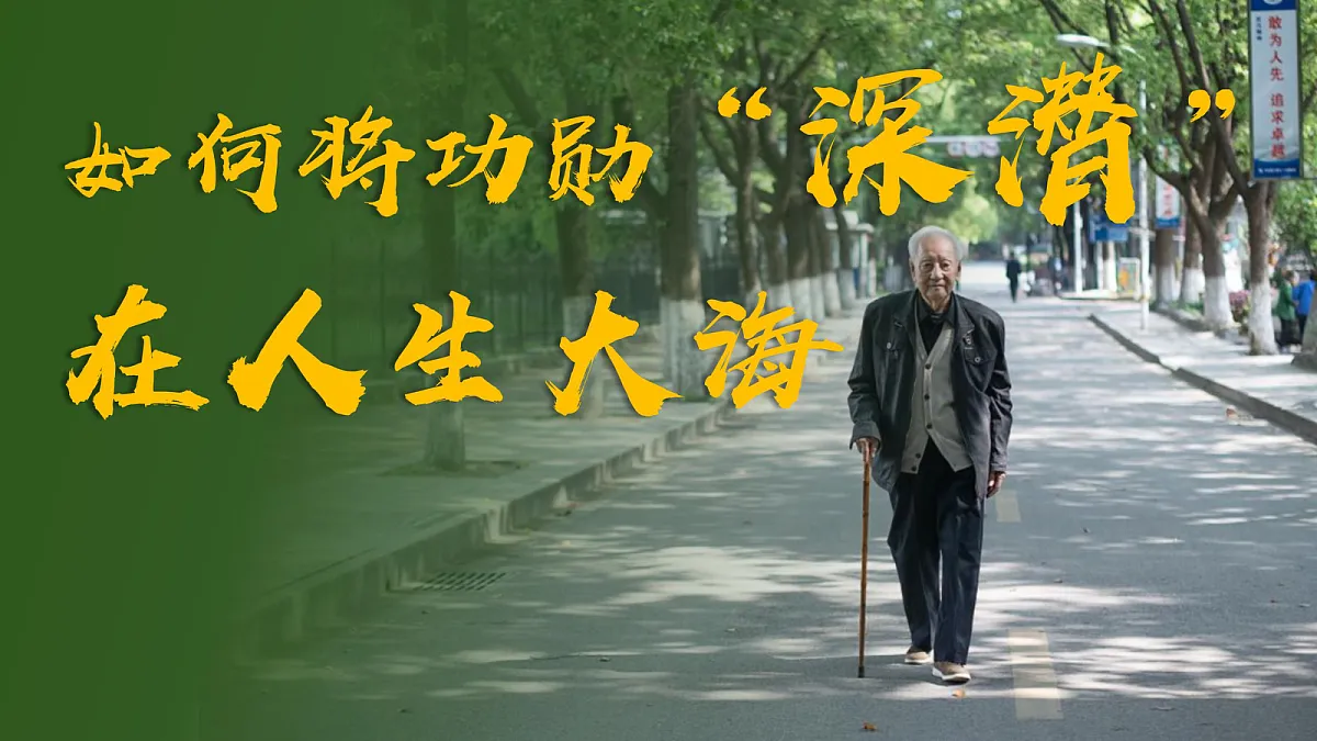 17503557第4页