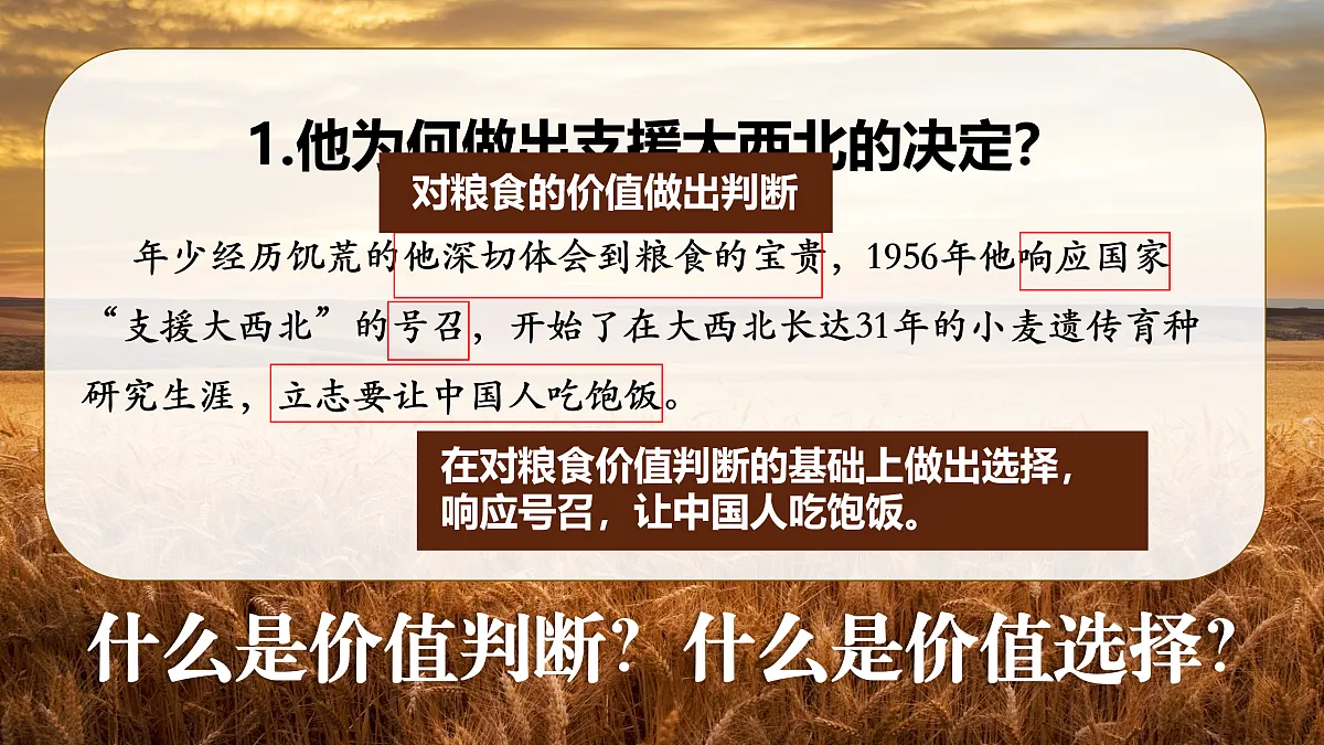 17503559第8页