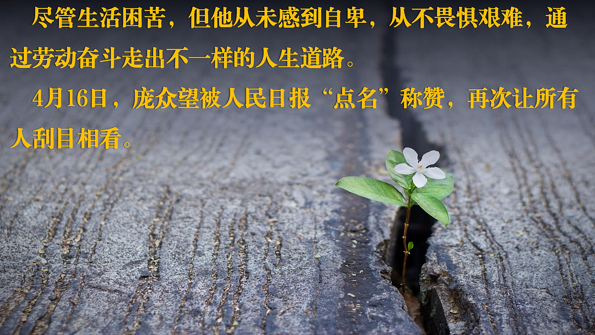 17503561第8页
