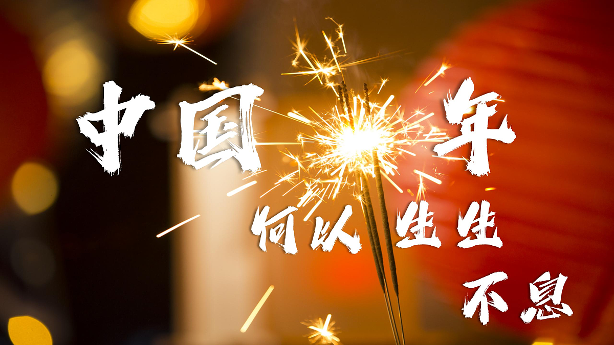 17503569第4页