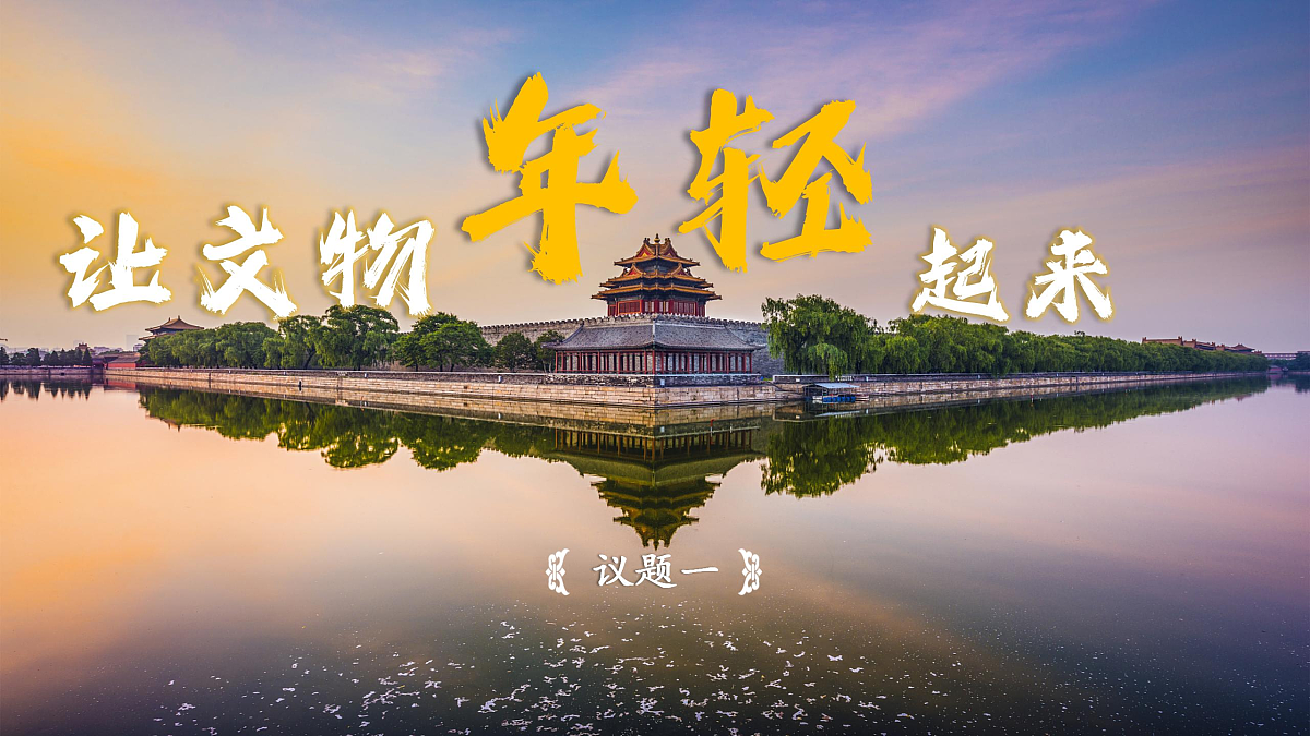 17503576第5页
