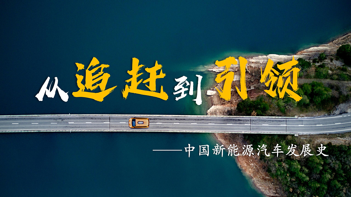 17503919第4页