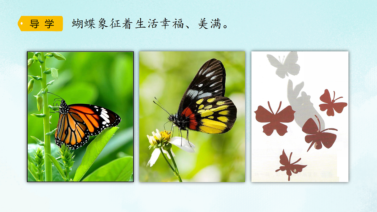 17504716第3页