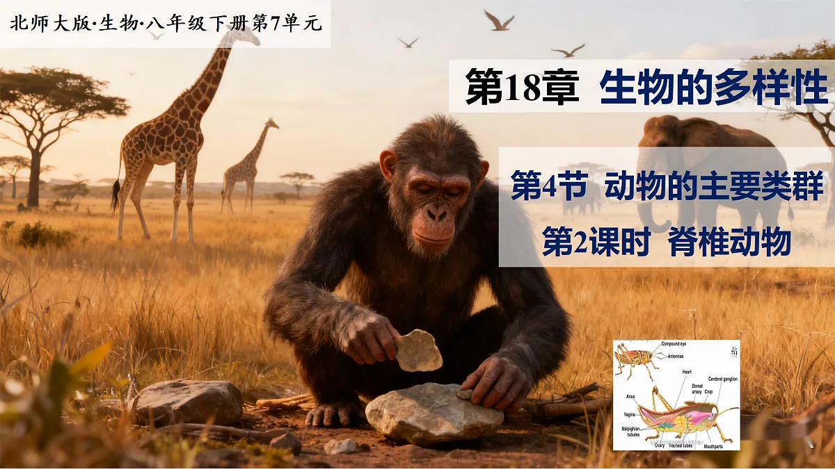 八下（北师大版2024）18.4.2动物的主要类群 第2课时 课件第1页