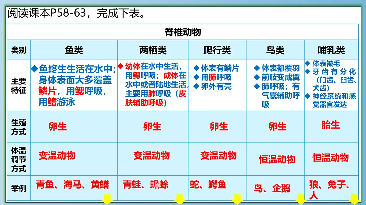 八下（北师大版2024）18.4.2动物的主要类群 第2课时 课件第8页