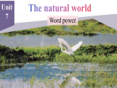 Unit 7 The natural world Word Power课件- 2025-2026学年译林版（2024）初中英语八年级上册
