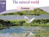Unit 7 The natural world Grammar课件- 2025-2026学年译林版（2024）初中英语八年级上册