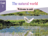 Unit 7 The natural world Welcome to unit课件- 2025-2026学年译林版（2024）初中英语八年级上册
