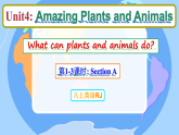 Unit 4 Amazing Plants and Animals 第1-3课时 Section A 课件 2025-2026学年人教版英语八年级上册