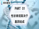 6.16.3 性状遗传有一定的规律性（教学课件）-2025-2026学年八年级生物上册（北师大版2024）