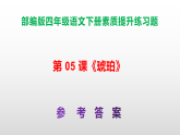 （新）部编版四年级语文下册第 05 课《琥珀》素质提升练习题（含答案）A3+（参考答案）PPT