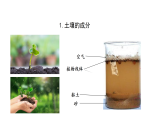 2 土壤的种类（课件） 2025-2026学年青岛版（54制）三年级科学上册