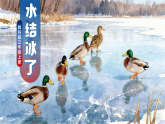教科版小学科学三年级上册 12水结冰了 课件