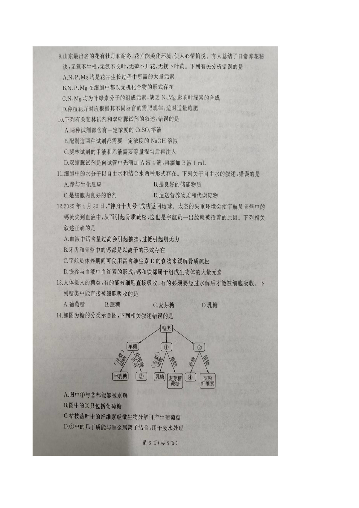 山东省临沂市临沭第一中学等校联考2025-2026学年高一上学期10月考试生物试卷第3页
