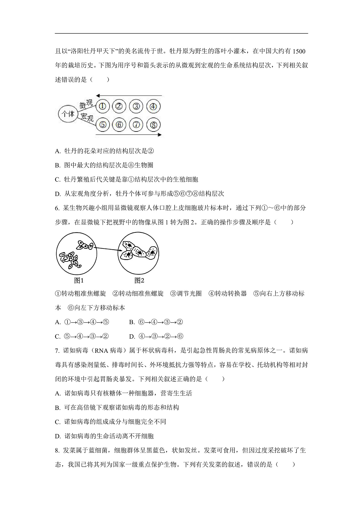 【生物】河南省周口市部分学校2024-2025学年高一上学期10月月考试题（学生版）第2页