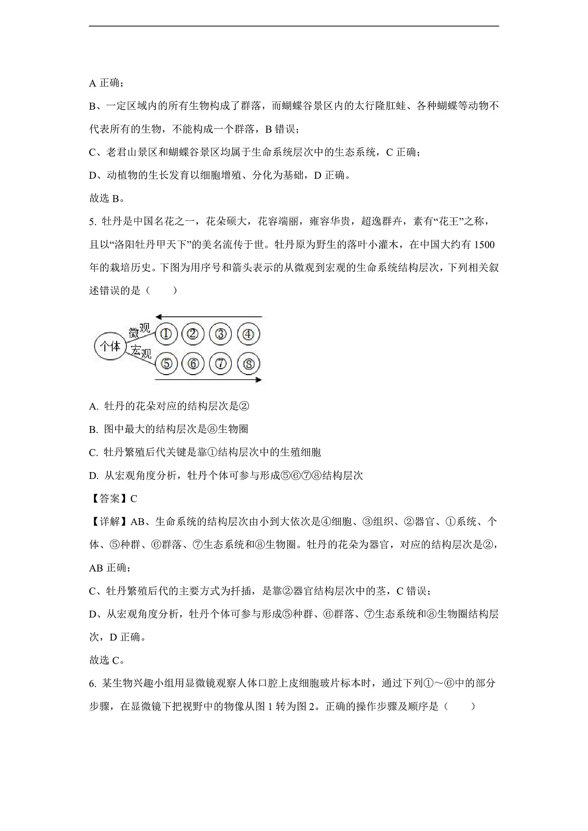 【生物】河南省周口市部分学校2024-2025学年高一上学期10月月考试题（解析版）第3页