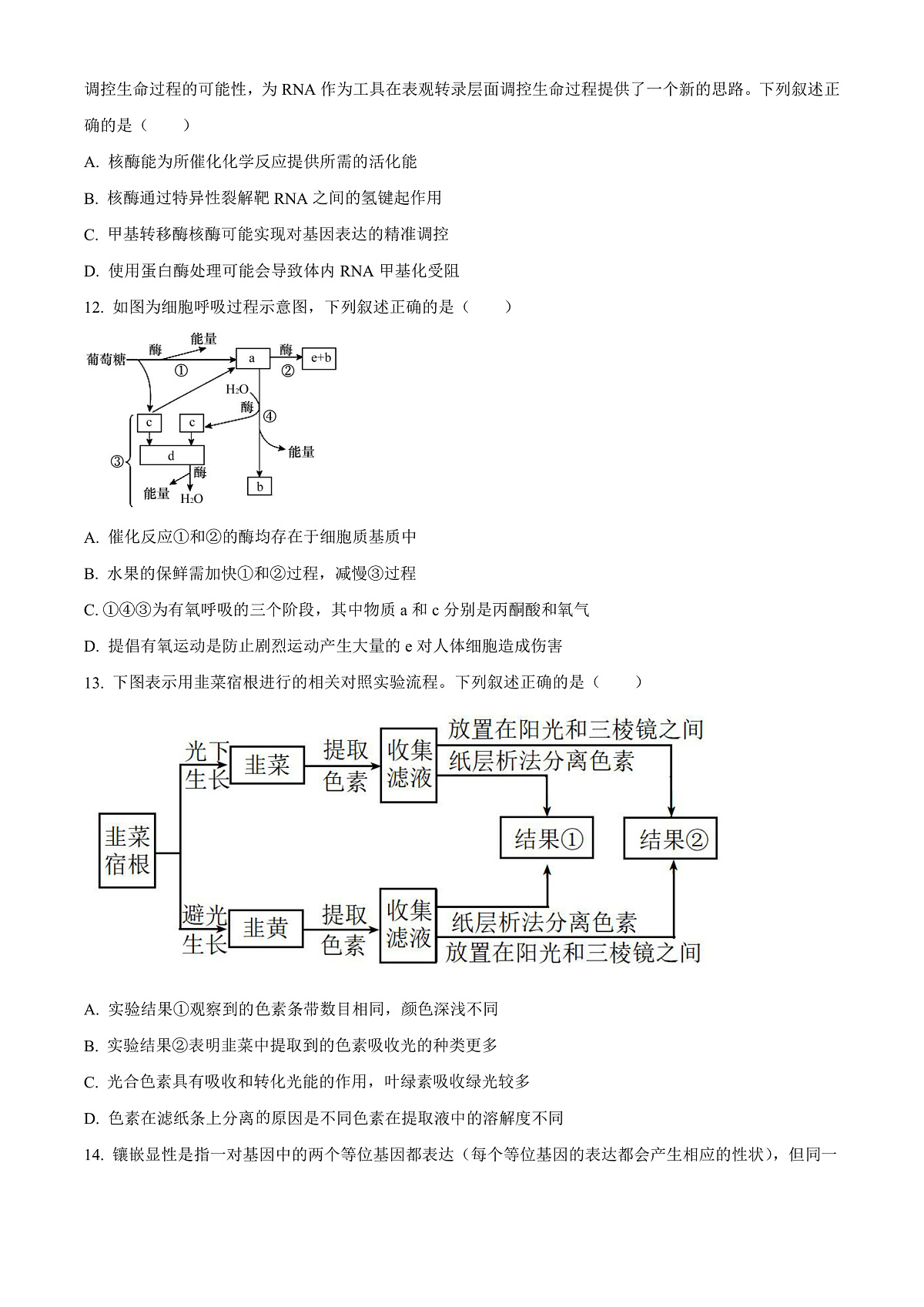 四川省成都外国语学校2023-2024学年高二上学期9月月考生物试题  Word版无答案第3页