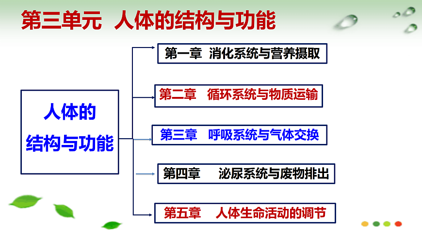 17508749第1页