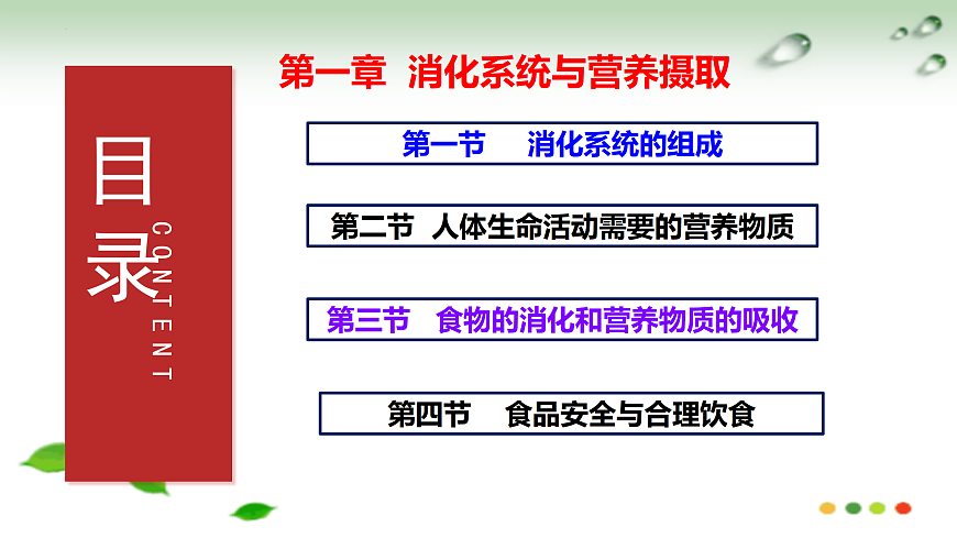 17508749第2页