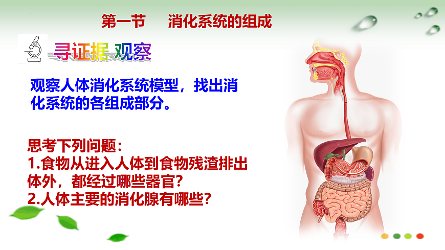 17508749第4页