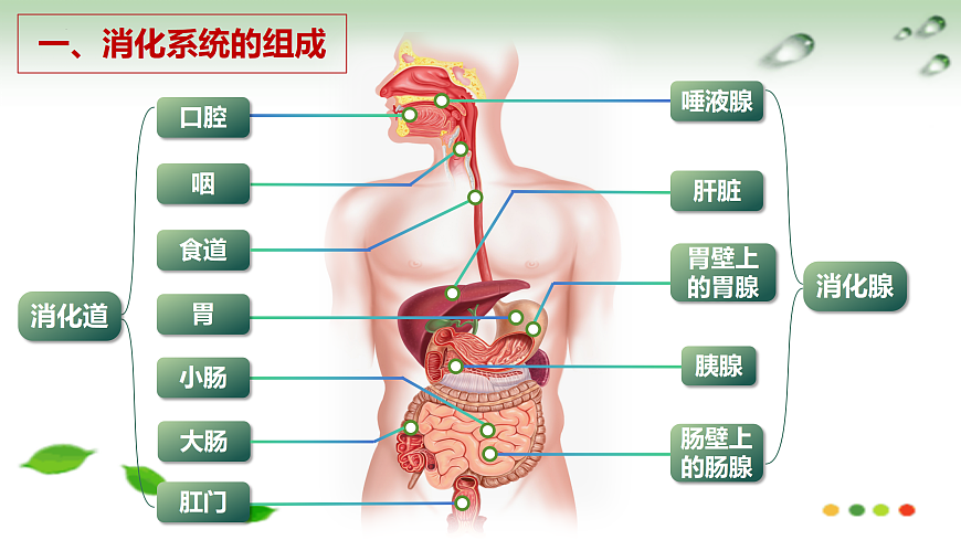 17508749第5页