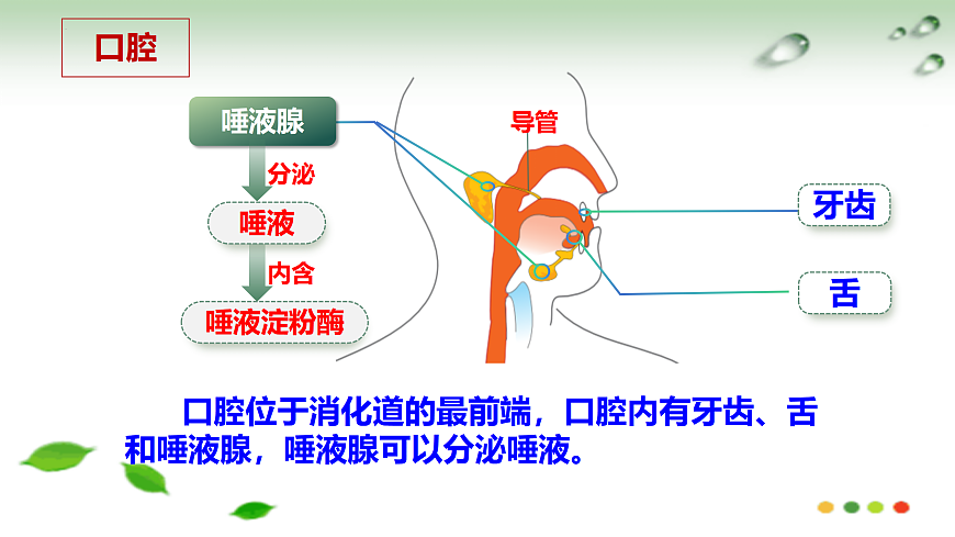 17508749第6页