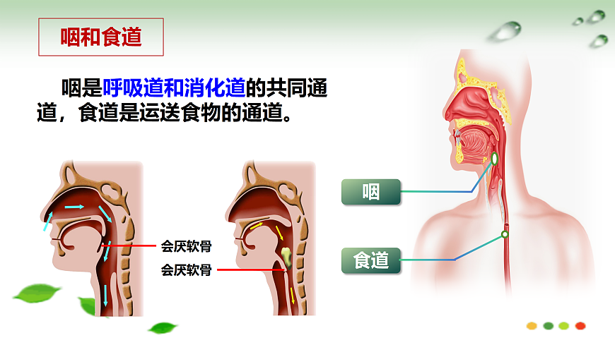 17508749第7页