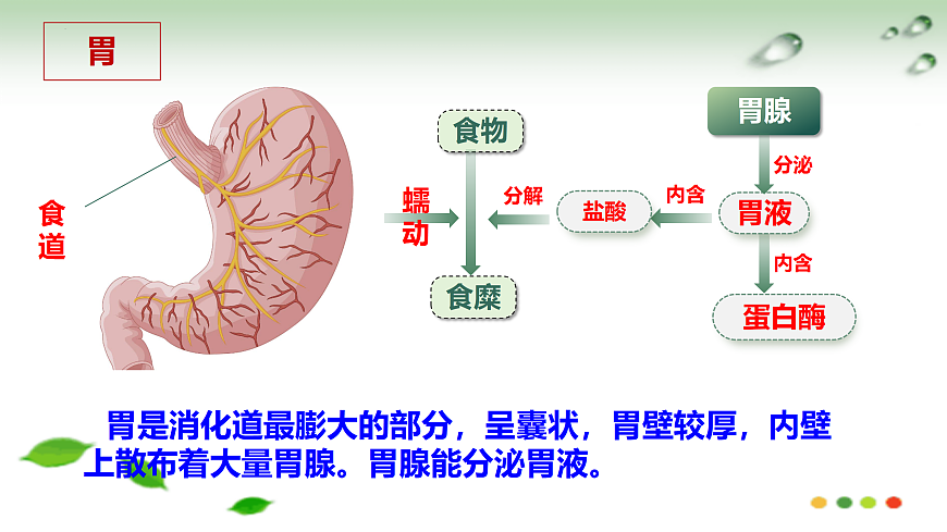 17508749第8页